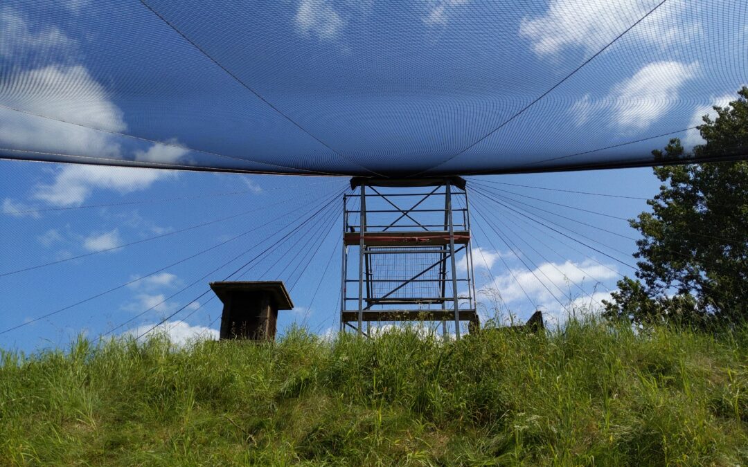 1300m² Schutznetz für die Greifvögel